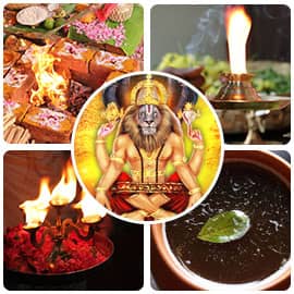 Nava Narasimha Services Essential Package