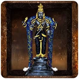 Temple Services to Shani 