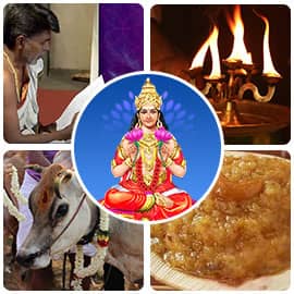 Vedic Winter Solstice Basic Package