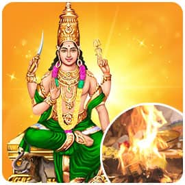 Individual Mercury Homa Individual Mercury Homa