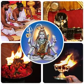  Sins & Curses Removal Program Basic Package 