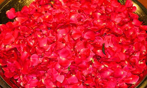 Yakshini Raksha Mantra Pushpanjali (Flower Offerings For Good Relationships & a Harmonious Life) at Kerala Powerspot