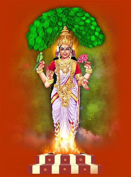 Vasavi Jayanthi