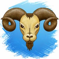 ARIES ARIES