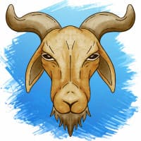CAPRICORN CAPRICORN