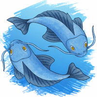 PISCES PISCES