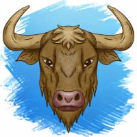 TAURUS TAURUS
