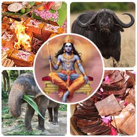 Mandi Affliction Removal Program Advanced Package