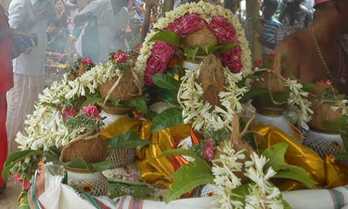 108 Kalasa Abishekam (Hydration Ceremony with 108 Sacred Pots), Alankaram (Idol Decoration), Archana (Pooja) to Goddess Rakakshi   