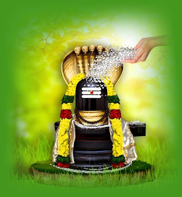 Anna-Abishekam-dsk Kala Bhairava Jayanthi