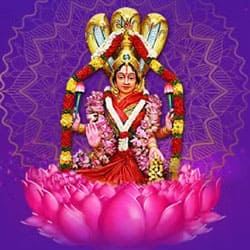 48-Day Goddess Shreem Brzee Lakshmi Program