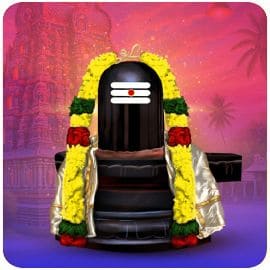 Shiva Temple Services