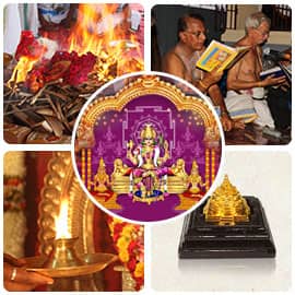 Vasant Navaratri Advanced Plus Package