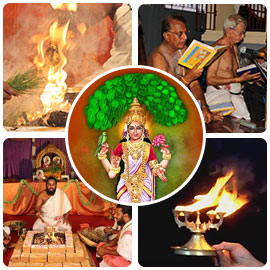 Vasavi Jayanthi Advanced Package