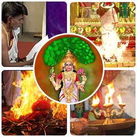 Vasavi Jayanthi Basic Package