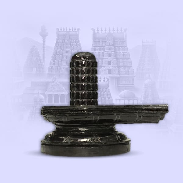 SHIVA’S DEBT CLEARANCE MONDAYS SHIVA’S DEBT CLEARANCE MONDAYS