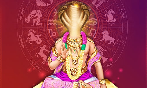 Pooja by Siddha on Vaikasi Visakam