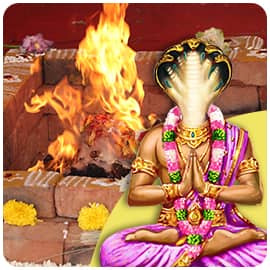 Individual Muruga Fire Lab