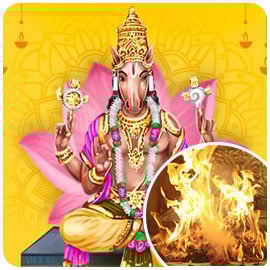 Individual Hayagriva Fire Lab