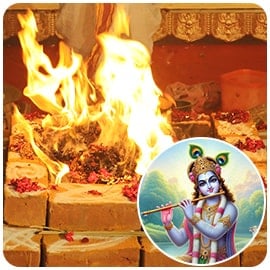 Individual Krishna Fire Lab