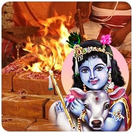 Individual Santana Gopala Fire Lab
