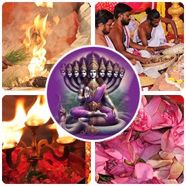 Naga Chaturthi & Garuda Panchami Advanced Plus Package Naga Chaturthi & Garuda Panchami Advanced Plus Package