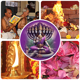 Naga Chaturthi & Garuda Panchami Enhanced Package Naga Chaturthi & Garuda Panchami Enhanced Package