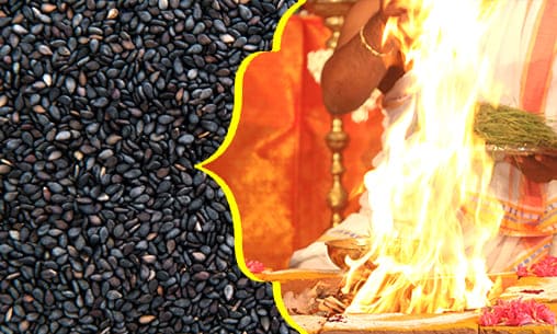 Thila Fire Lab With Sesame Seeds to Appease Ancestors on Maha Bharani & Madhyashtami Days at Salvation Vortex Thila Fire Lab With Sesame Seeds to Appease Ancestors on Maha Bharani & Madhyashtami Days at Salvation Vortex