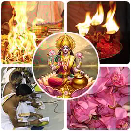 Diwali Advanced Plus Package