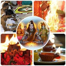 Triple Health & Immunity Booster Bhaskara Blessings Individual Package Triple Health & Immunity Booster Bhaskara Blessings Individual Package