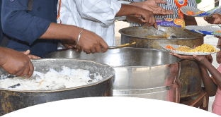 Food Feeding