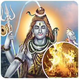 Individual Shiva Fire Lab Individual Shiva Fire Lab