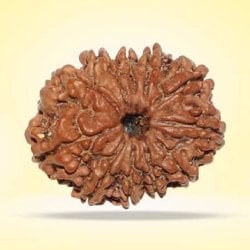 Rudraksha Store