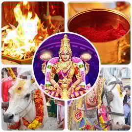 Mahalakshmi Rising Advanced Package