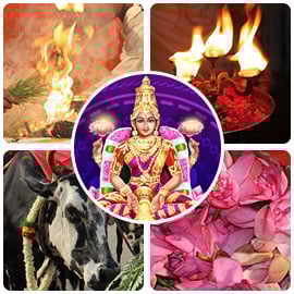 Mahalakshmi Rising Basic Package