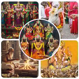 New Year Essential Package