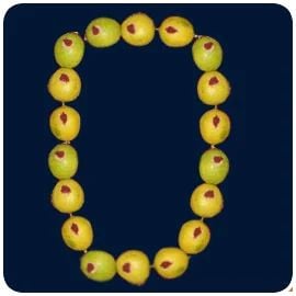 Sesame Oil and Lamp Donation to Saturn