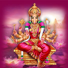 Varahi Protection and Victory Sponsorship Program 