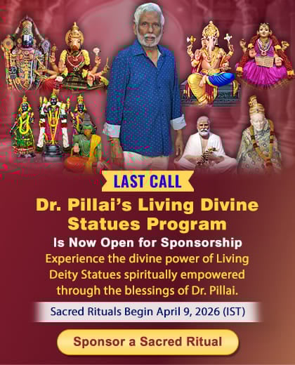 Dr. Pillai's Living Divine Statues Program