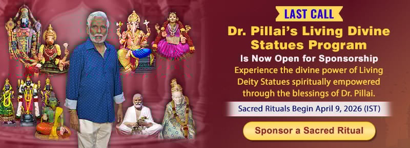 Dr. Pillai's Living Divine Statues Program