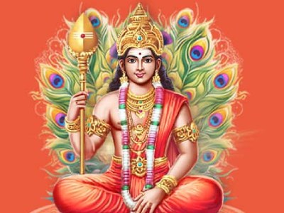 Vaikasi Visakam Essential Package