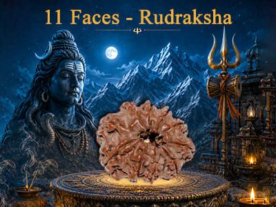 11 Faces Rudraksha