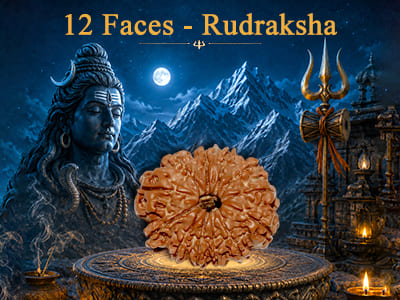 12 Faces Rudraksha
