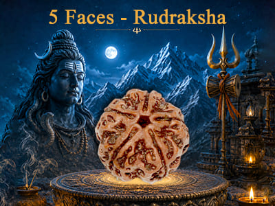 5 Faces Rudraksha