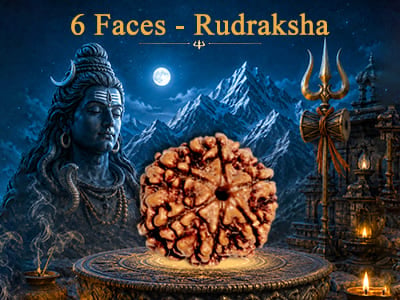 6 Faces Rudraksha