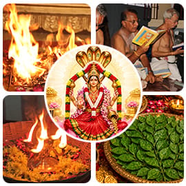 Shreem Brzee Prosperity Circle - Basic Subscription Shreem Brzee Prosperity Circle - Basic Subscription