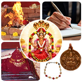 Shreem Brzee Prosperity Accelerator- Advanced Subscription Shreem Brzee Prosperity Accelerator- Advanced Subscription