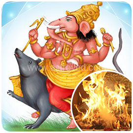 Individual Vijaya Ganesha Fire Lab
