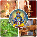 Vishnu Saturdays Essential Package(2026)
