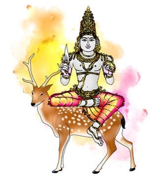 சுவாதி நட்சத்திரம்